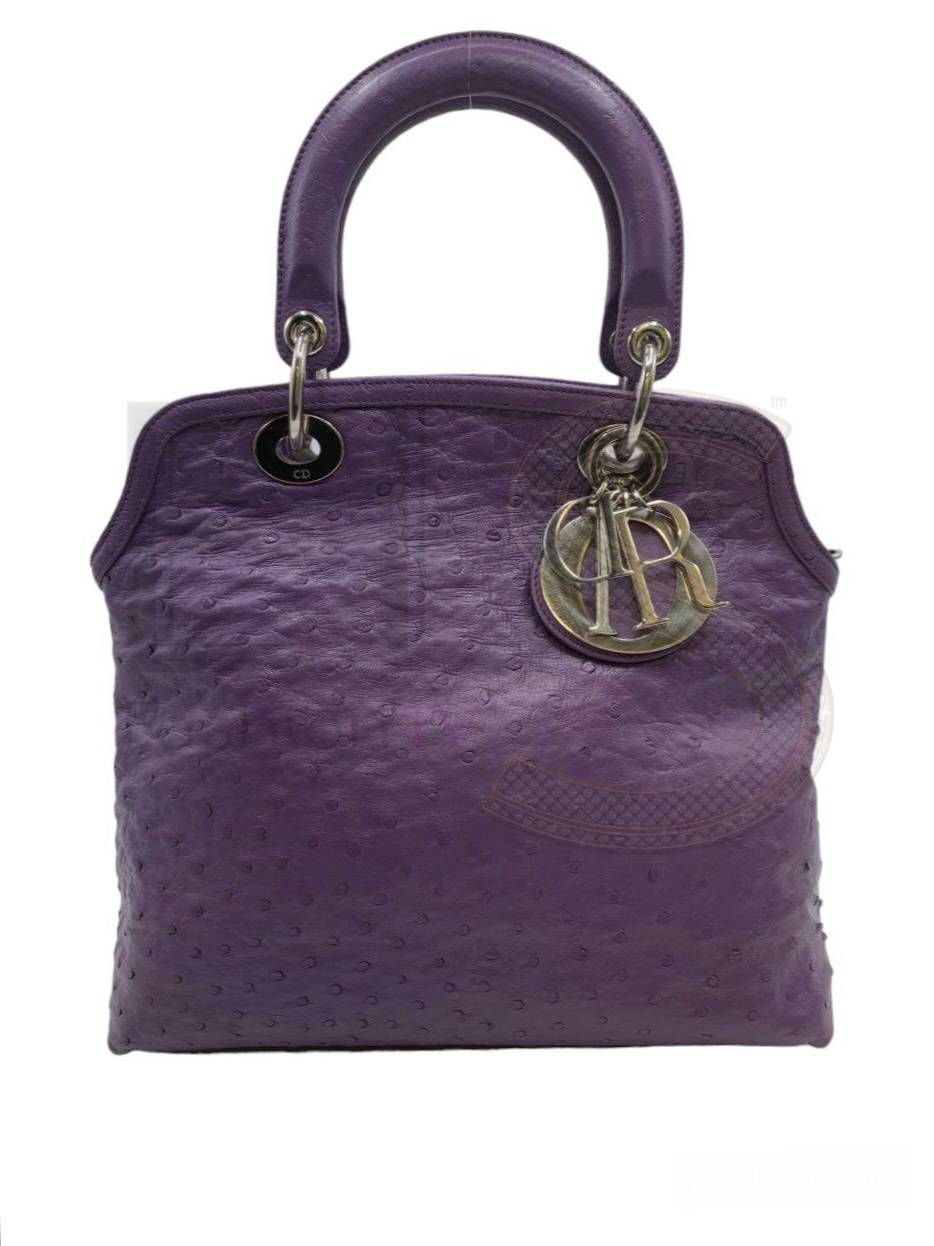 Dior Granville Purple Ostrich ELS Fashion TV